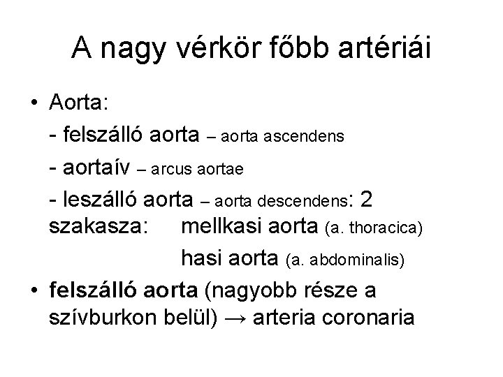 A nagy vérkör főbb artériái • Aorta: - felszálló aorta – aorta ascendens -