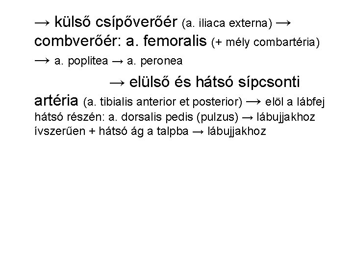 → külső csípőverőér (a. iliaca externa) → combverőér: a. femoralis (+ mély combartéria) →