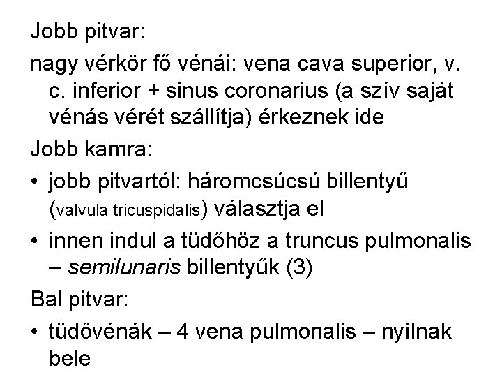 Jobb pitvar: nagy vérkör fő vénái: vena cava superior, v. c. inferior + sinus