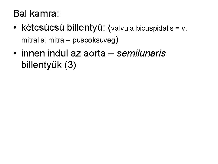 Bal kamra: • kétcsúcsú billentyű: (valvula bicuspidalis = v. mitralis; mitra – püspöksüveg) •