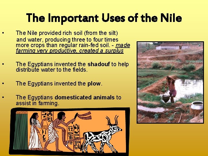 The Important Uses of the Nile • The Nile provided rich soil (from the