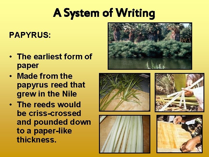 A System of Writing PAPYRUS: • The earliest form of paper • Made from