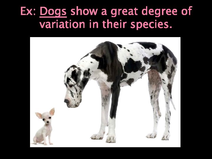 Ex: Dogs show a great degree of variation in their species. 