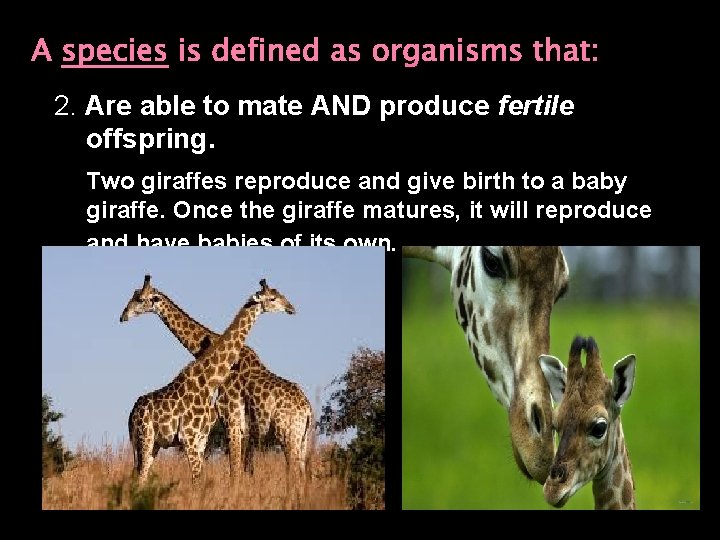 A species is defined as organisms that: 2. Are able to mate AND produce