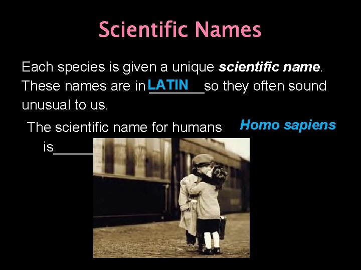 Scientific Names Each species is given a unique scientific name. LATIN These names are