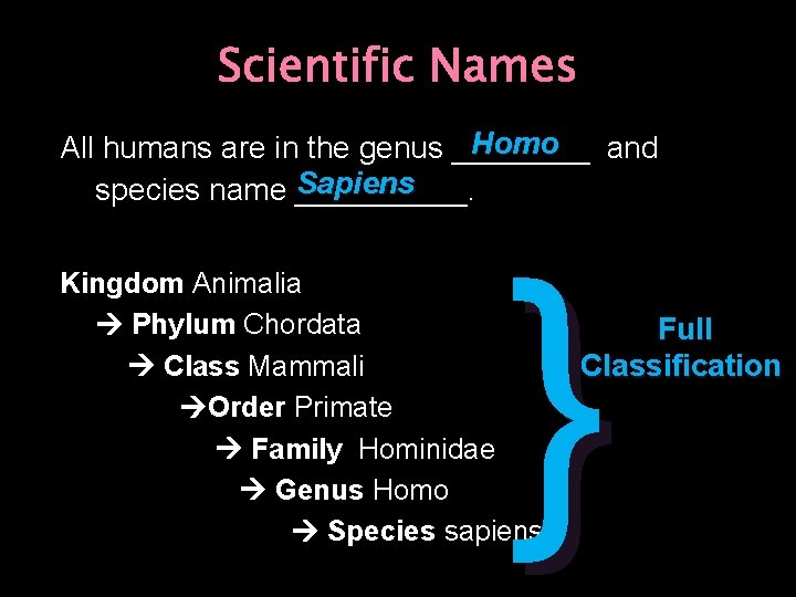 Scientific Names Homo All humans are in the genus ____ and Sapiens species name