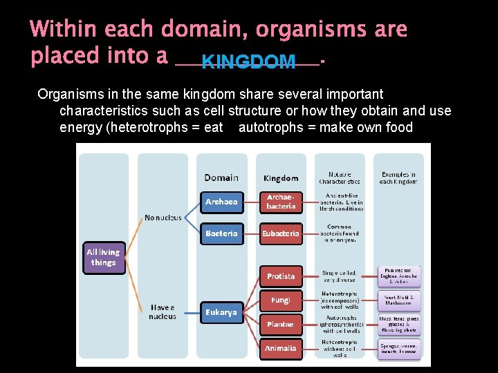 Within each domain, organisms are placed into a _______. KINGDOM Organisms in the same