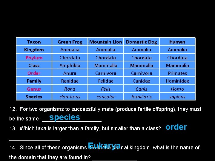 Taxon Kingdom Phylum Class Order Family Genus Species Green Frog Animalia Chordata Amphibia Anura