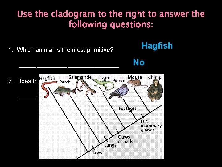 Use the cladogram to the right to answer the following questions: 1. Which animal