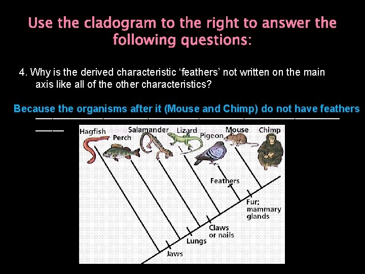 Use the cladogram to the right to answer the following questions: 4. Why is