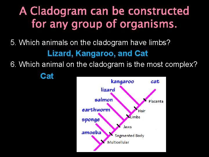 A Cladogram can be constructed for any group of organisms. 5. Which animals on