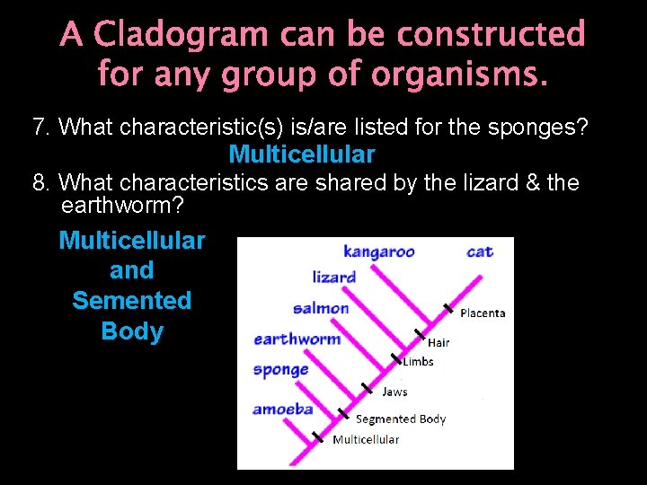 A Cladogram can be constructed for any group of organisms. 7. What characteristic(s) is/are