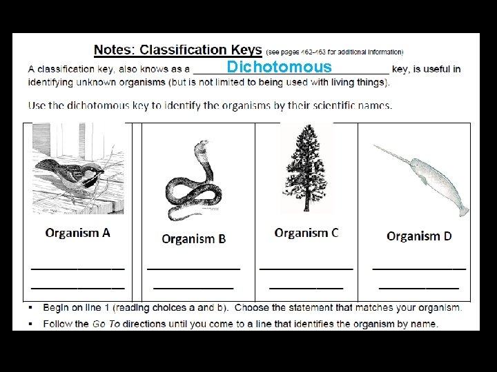 Dichotomous 