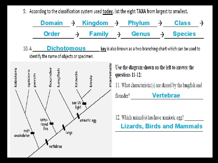 Domain Kingdom Phylum Family Genus Order Class Species Dichotomous Vertebrae Lizards, Birds and Mammals