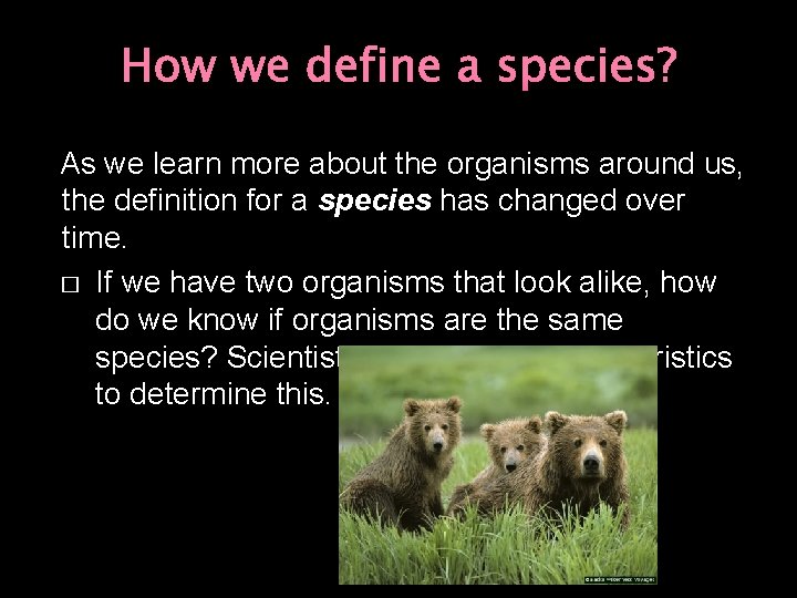 How we define a species? As we learn more about the organisms around us,