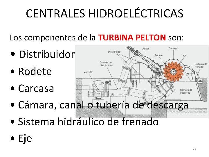 CENTRALES HIDROELÉCTRICAS Los componentes de la TURBINA PELTON son: • Distribuidor • Rodete •