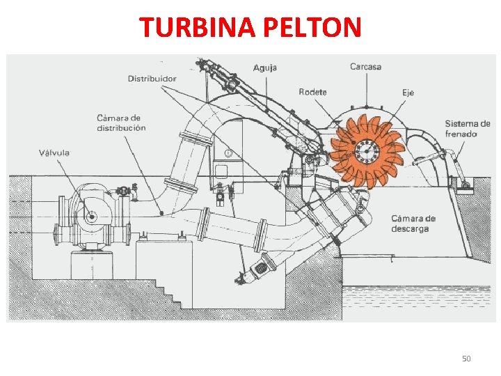 TURBINA PELTON 50 