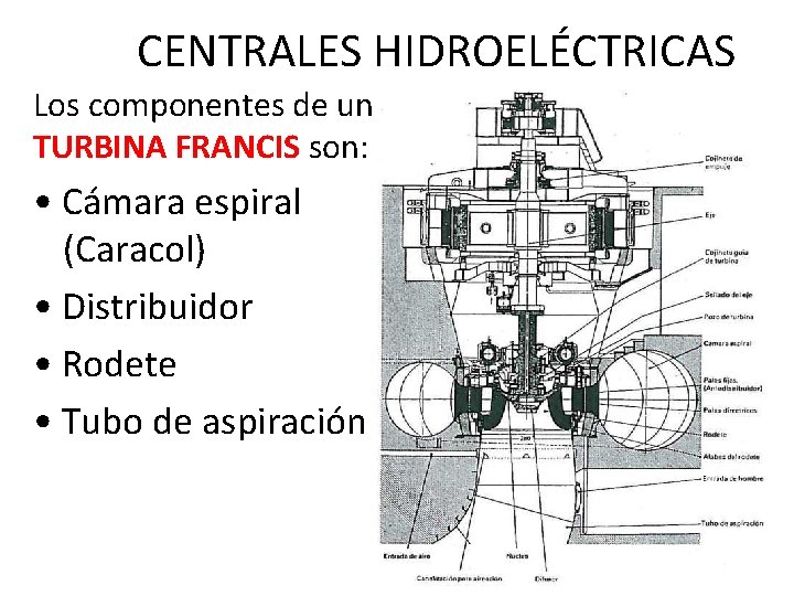 CENTRALES HIDROELÉCTRICAS Los componentes de una TURBINA FRANCIS son: • Cámara espiral (Caracol) •