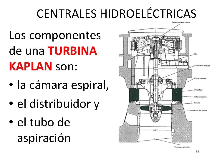 CENTRALES HIDROELÉCTRICAS Los componentes de una TURBINA KAPLAN son: • la cámara espiral, •