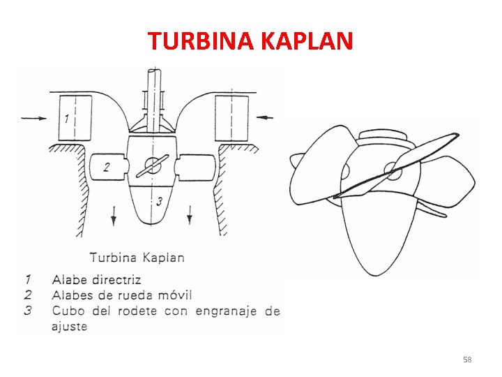 TURBINA KAPLAN 58 