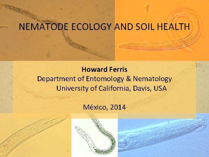 NEMATODE ECOLOGY AND SOIL HEALTH Howard Ferris Department of Entomology & Nematology University of