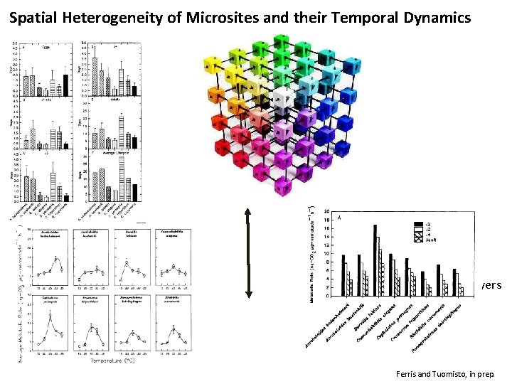 Spatial Heterogeneity of Microsites and their Temporal Dynamics gradient drivers: temperature moisture aeration organic