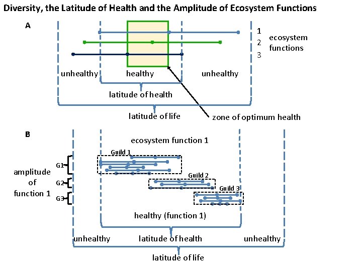 Diversity, the Latitude of Health and the Amplitude of Ecosystem Functions A 1 ecosystem
