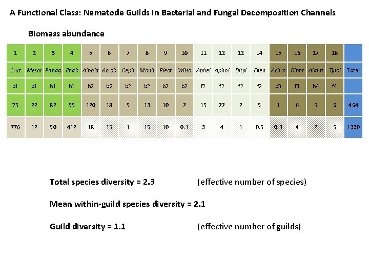 A Functional Class: Nematode Guilds in Bacterial and Fungal Decomposition Channels Biomass abundance 1