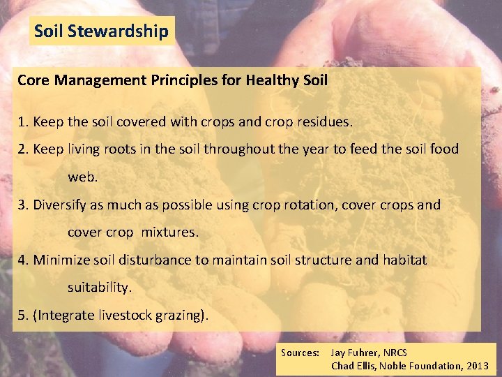 Soil Stewardship Core Management Principles for Healthy Soil 1. Keep the soil covered with