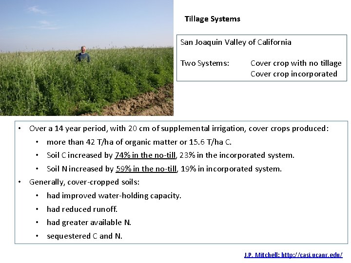 Tillage Systems San Joaquin Valley of California Two Systems: Cover crop with no tillage