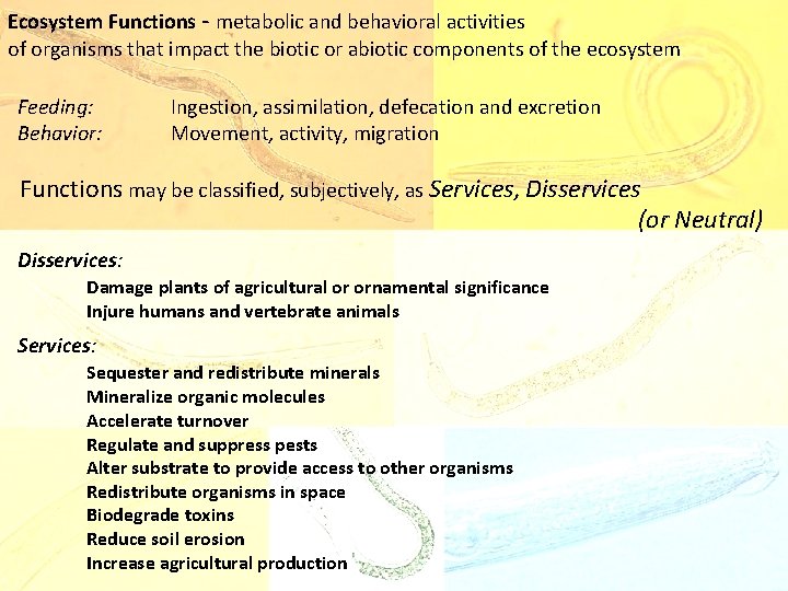 Ecosystem Functions - metabolic and behavioral activities of organisms that impact the biotic or