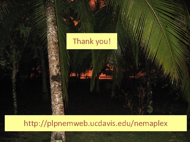 Thank you! http: //plpnemweb. ucdavis. edu/nemaplex 