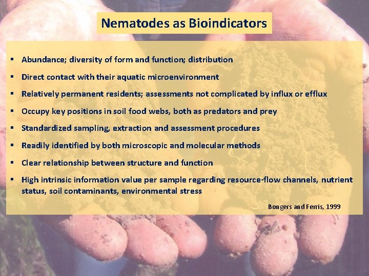Nematodes as Bioindicators § Abundance; diversity of form and function; distribution § Direct contact