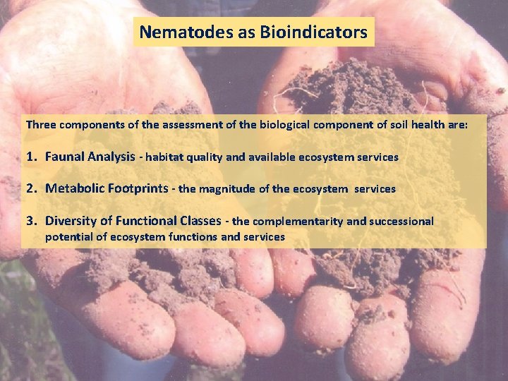 Nematodes as Bioindicators Three components of the assessment of the biological component of soil