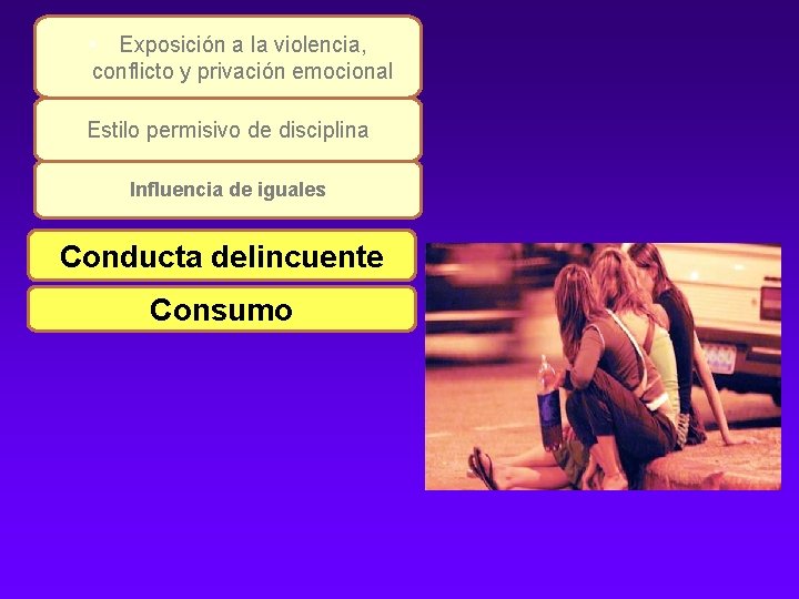  • Exposición a la violencia, conflicto y privación emocional Estilo permisivo de disciplina