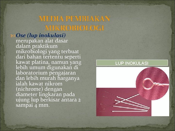 MEDIA PEMBIAKAN MIKROBIOLOGI Ose (lup inokulasi) merupakan alat dasar dalam praktikum mikrobiologi yang terbuat