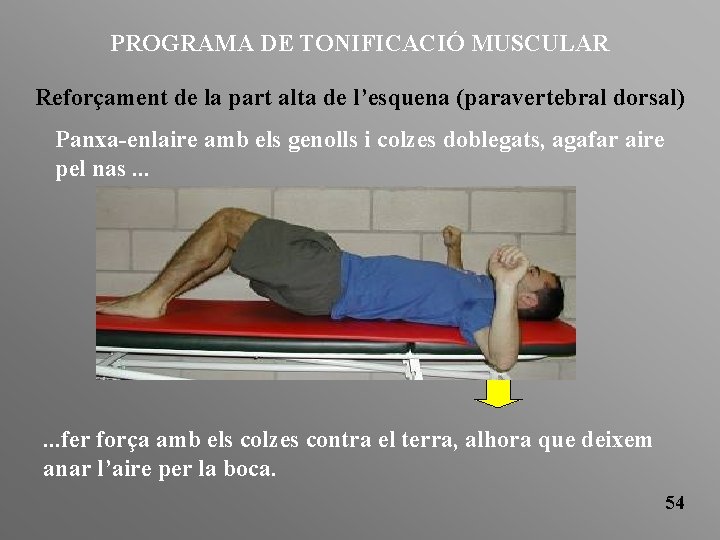 PROGRAMA DE TONIFICACIÓ MUSCULAR Reforçament de la part alta de l’esquena (paravertebral dorsal) Panxa-enlaire