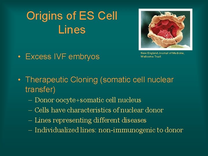 Origins of ES Cell Lines • Excess IVF embryos New England Journal of Medicine,