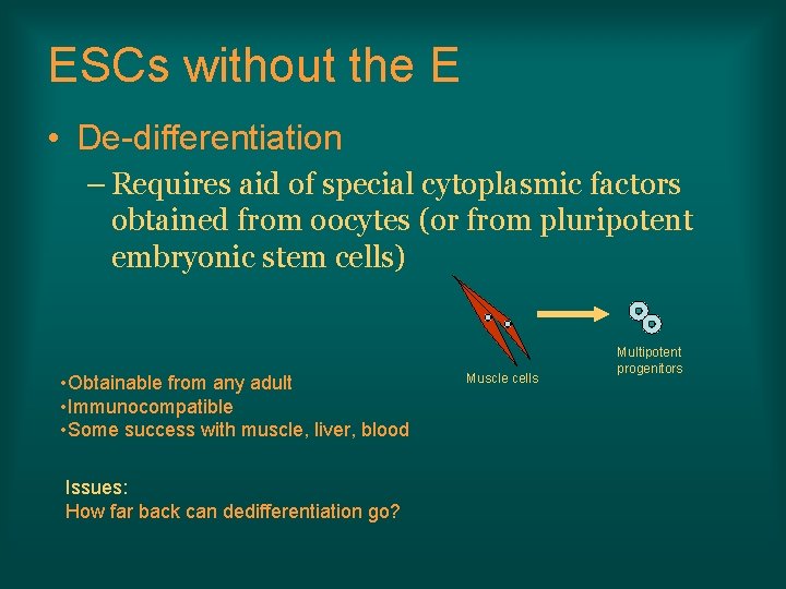 ESCs without the E • De-differentiation – Requires aid of special cytoplasmic factors obtained