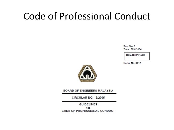 Code of Professional Conduct 