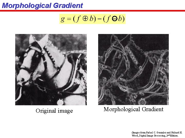 Morphological Gradient Original image Morphological Gradient (Images from Rafael C. Gonzalez and Richard E.