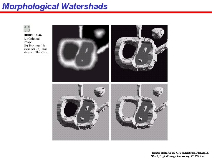 Morphological Watershads (Images from Rafael C. Gonzalez and Richard E. Wood, Digital Image Processing,