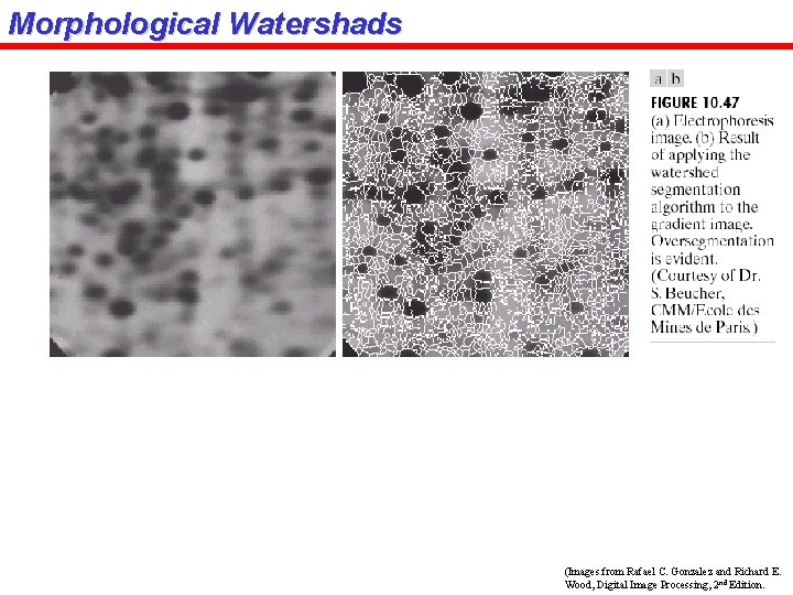 Morphological Watershads (Images from Rafael C. Gonzalez and Richard E. Wood, Digital Image Processing,