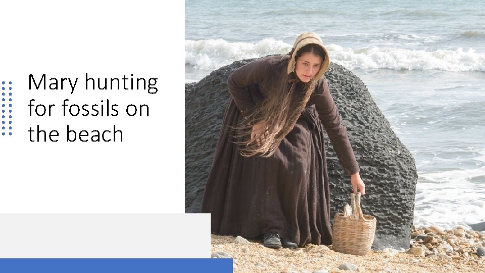 Mary hunting for fossils on the beach 