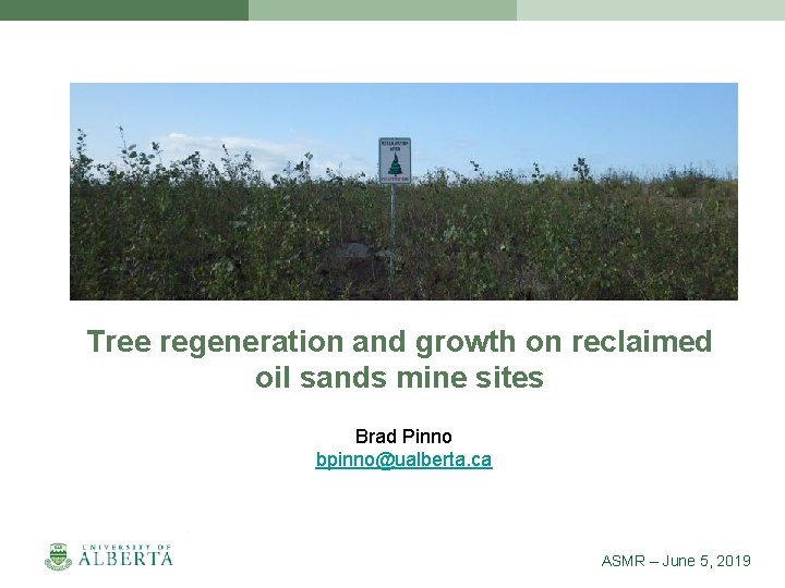 Tree regeneration and growth on reclaimed oil sands mine sites Brad Pinno bpinno@ualberta. ca