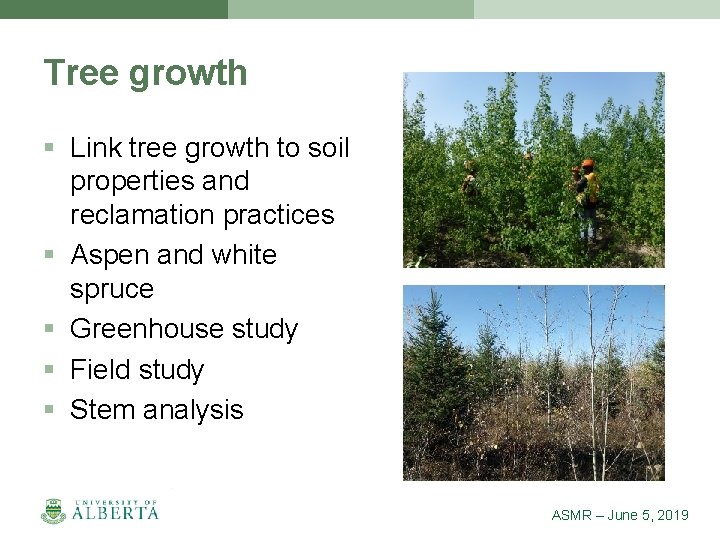 Tree growth § Link tree growth to soil properties and reclamation practices § Aspen