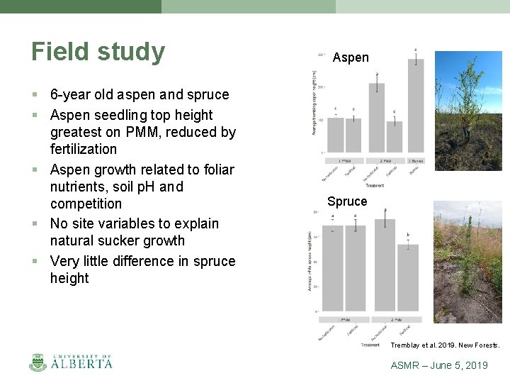 Field study § 6 -year old aspen and spruce § Aspen seedling top height