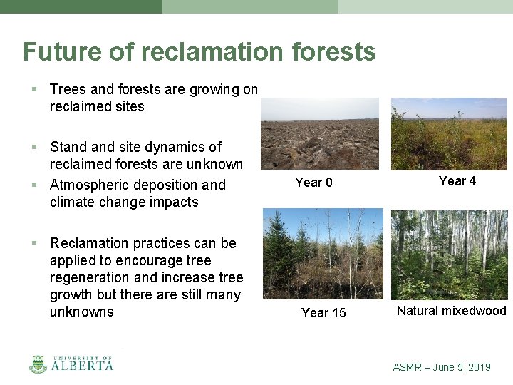 Future of reclamation forests § Trees and forests are growing on reclaimed sites §