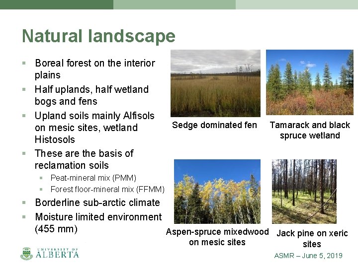 Natural landscape § Boreal forest on the interior plains § Half uplands, half wetland