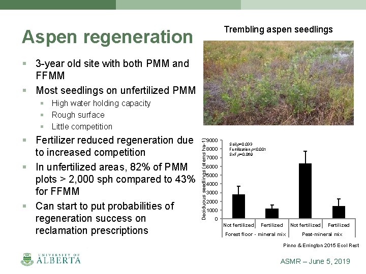 Trembling aspen seedlings Aspen regeneration § 3 -year old site with both PMM and